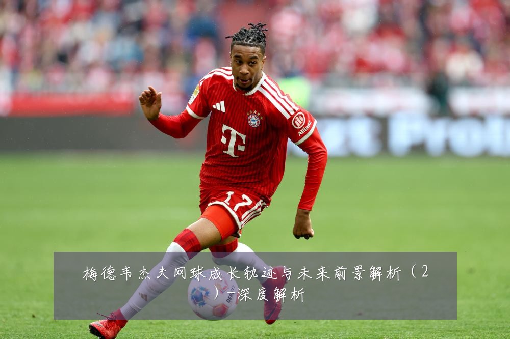 梅德韦杰夫网球成长轨迹与未来前景解析(2)-深度解析
