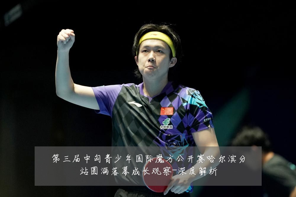 第三届中匈青少年国际魔方公开赛哈尔滨分站圆满落幕成长观察-深度解析